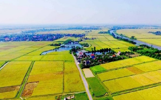 Đất 50 năm là gì