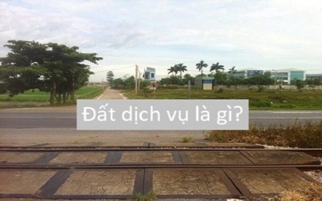 Đất dịch vụ là gì