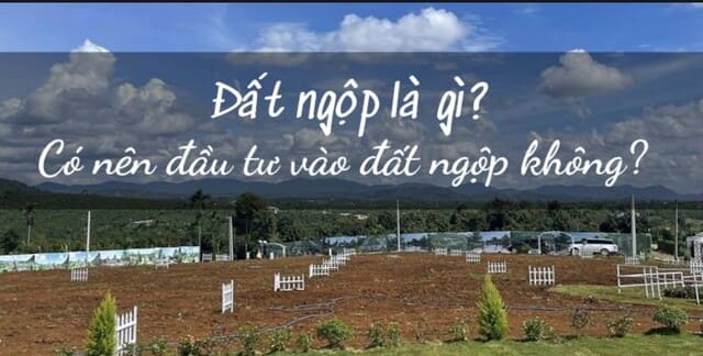 Đất ngộp là gì?